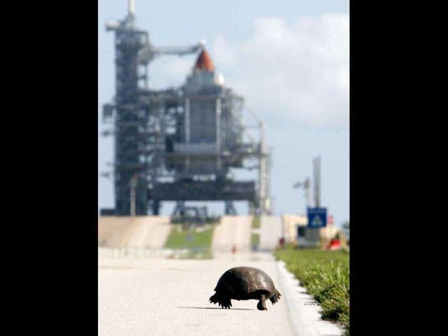 On the highway | Hindustan Times