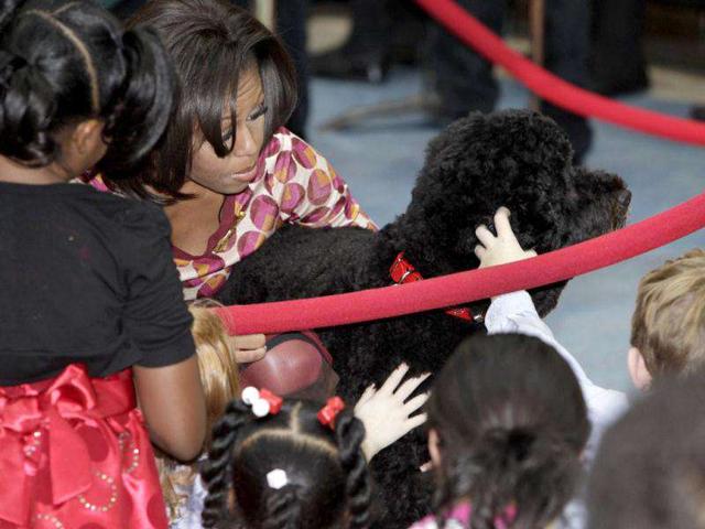 Children pet the Obama family dog Bo as US first lady Michelle Obama holds him at the Children's National Medical Center in Washington. Reuters Photo