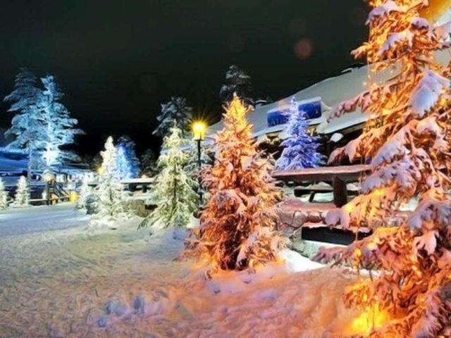 Picture taken with long time exposure shows trees with christmas decorations in the Santa Claus Village at Rovaniemi, Finnish Lapland. AFP photo /Jonathan Nackstrand