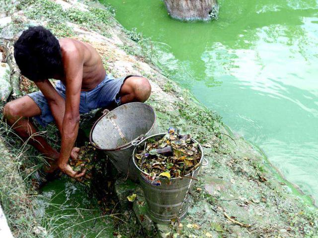 Daily wage workers clean the waters of Delhi's Hauz Khas lake every morning and evening. HT Photo by Jasjeet Plaha.