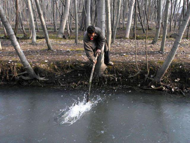 A Kashmiri man breaks the frozen surface of Dal Lake on a cold day in Srinagar. AP Photo/Mukhtar Khan