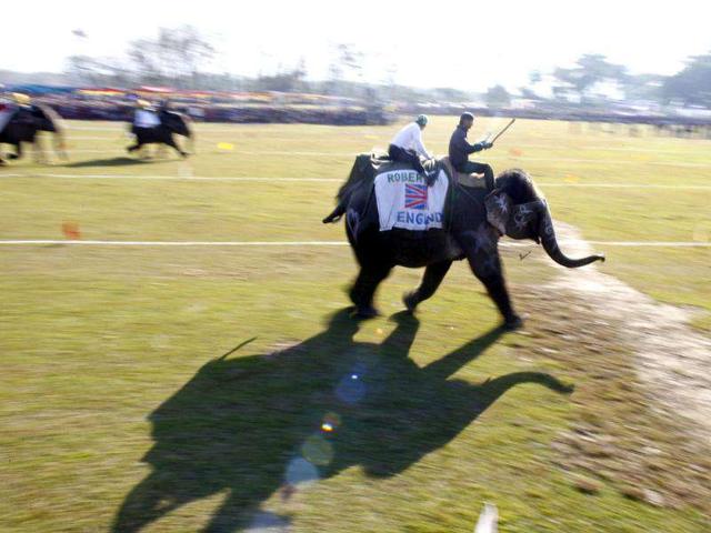 Nepalese mahouts play soccer with their elephants in the eighth International Elephant Race at Sauraha in Chitwan. (AFP photo/ Prakash Matehma)