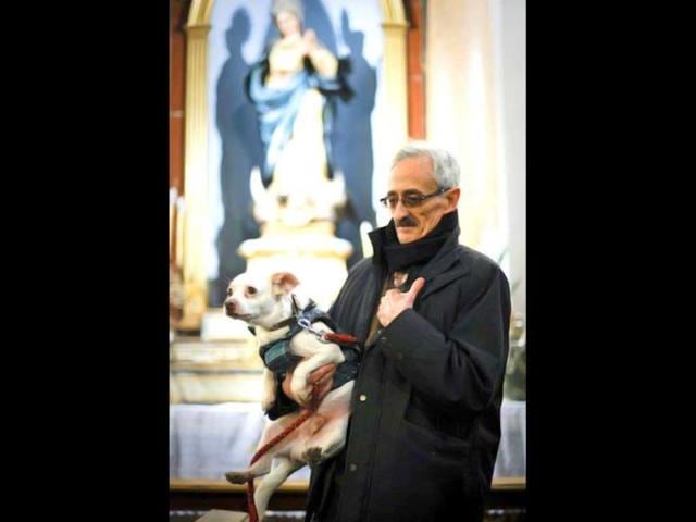 A man holds his dog at the Church of San Anton in Madrid on Saint Anthony's Day. Dogs, cats, rabbits and even turtles, many dressed in their finest, trooped into churches across Spain for blessings. AFP Photo/Pedro Armestr