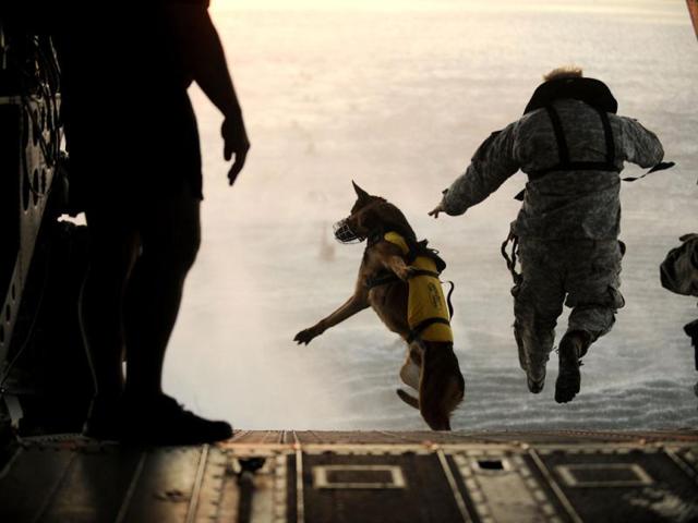 US military handout image shows a soldier and dog jumping out of helicopter during a training exercise over the Gulf of Mexico. (Reuters/Manuel J. Martinez/US Air Force/Handout)