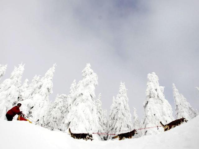A musher competes with his dogs during the Sedivackuv Long dog sled race near the village of Destne v Orlickych horach, Czech Republic. (AP Photo/Petr David Josek)