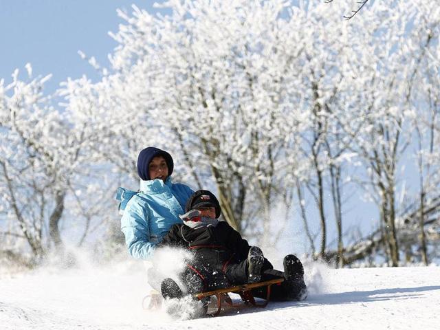 A mother and son enjoy a sledge ride at the Feldberg mountain in Schmitten, 25km (16 miles) north-west of Frankfurt. Reuters Photo/Kai Pfaffenbach