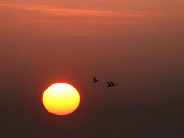 A flock of nothern ducks fly in the sky over Nove Mlyny water reservoirs at the sunset. More than 70,000 northern ducks are wintering in the water reservoirs of Nove Mlyny, in South Moravia, 30 kilometers south of Brno. AFP Photo / Radek Mica