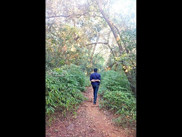 Walks in the forest are the evening's principal activity. 'The hills made me see more with my eyes closed'. Photo Courtesy: Sooni Taraporevala