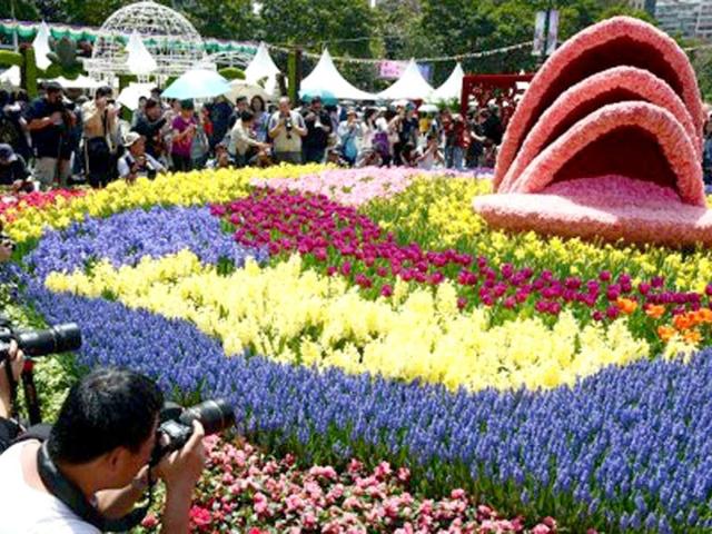 Amateur photographers take pictures of a flower display with an Australian theme during the Hong Kong Flower Show. AFP Photo/Laurent Fievet