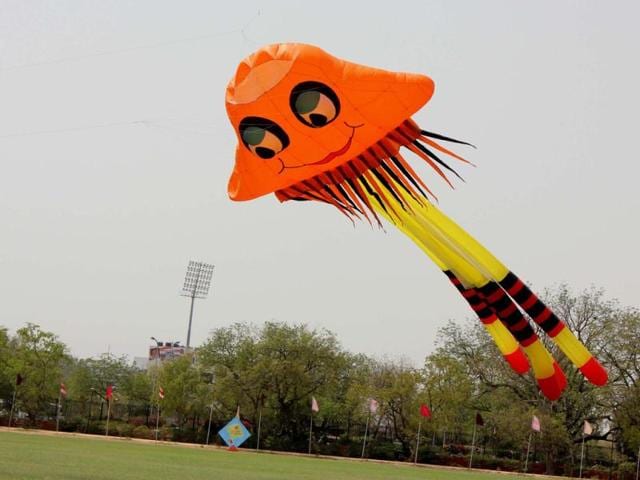 Flying kites in Rajasthan | Hindustan Times