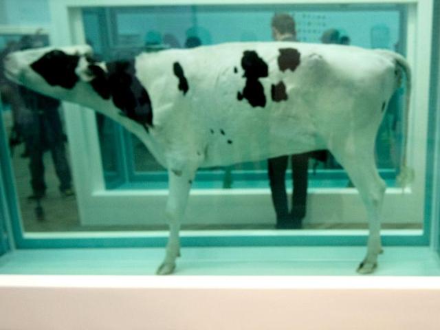 A man photographs a creation by British artist Damien Hirst entitled Mother and Child Divided 2007 during the launch of his solo exhibition showcasing work spanning two decades at the Tate Modern in central London. AFP Photo/Ben Stansall