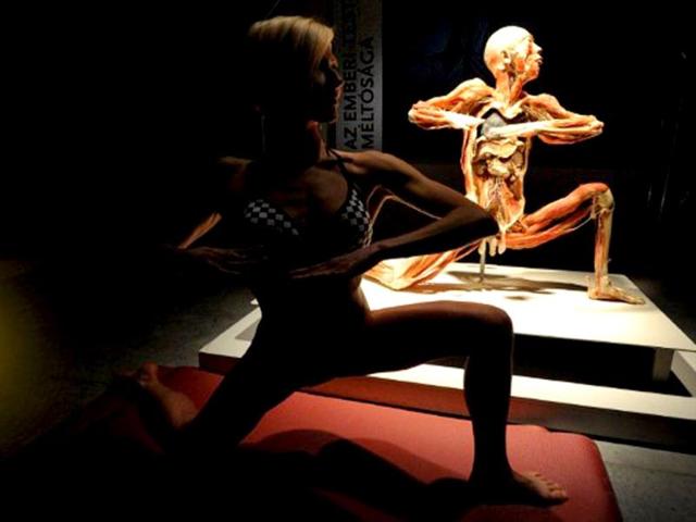 A model shows a parallel motion with a preserved human body in VAM Design Center of Budapest. AFP/Attila Kisbenedek