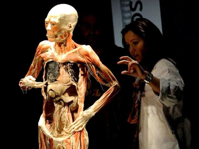 An official of the exhibition shows a preserved human body during an exhibition of the 'Bodies2'. AFP/Attila Kisbenedek