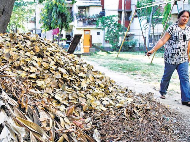 Dry leaves and waste scattered in parks make the morning walks not so pleasant at Masjid Moth, New Delhi. ARIJIT SEN/HT photo