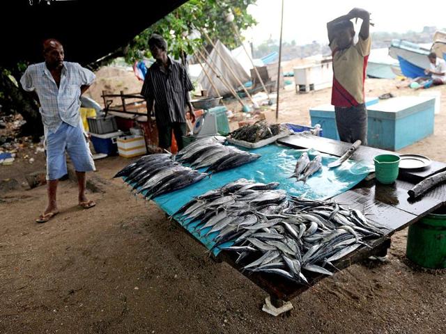 A Sri Lankan vendor sells fish at his stall Sri Lankan town of Galle, a day after residents along the country's coast were asked to move inland following a tsunami alert. AFP/Ishara S Kodikara