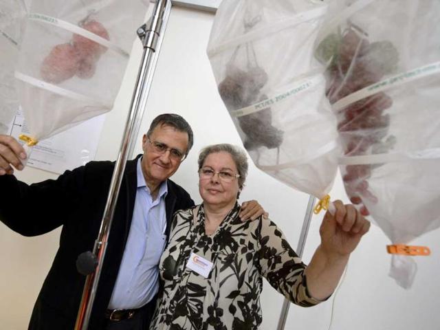 Spain's Manuel Foix Robert (L) and Victoria Gomez Gamez pose wih their invention, a protective case made with tissue that can be used for food and plants, during the opening day of the 40th International Exhibition of Inventions in Geneva. More than 789 exhibitors from 46 countries are present at one of the world's largest exhibitions devoted to innovation. AFP/Fabrice Coffrini