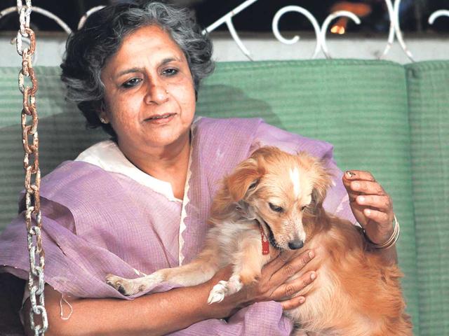 Anjali Gopalan, child and animal rights activist, has been shortlisted in this year's list of Time Magazines's 100 most influential people in the world. HT Photo/Jasjeet Plaha