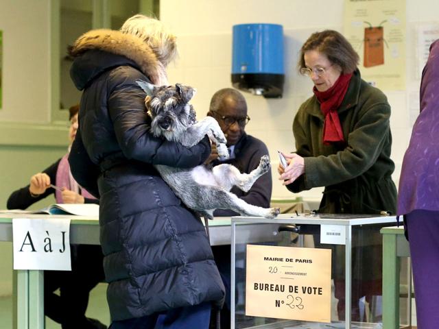 A woman, with her dog in her arms, casts her ballot at a polling station in Paris, for the first-round poll of French 2012 presidential election. AFP/Thomas Coex