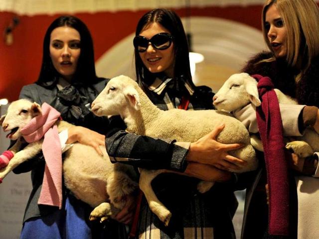 Models Olivia Thornton (L), Karima Alexander (C) and Iskra Galic (R) hold lambs during a parade of wool fashions to mark the start of Wool Week at Sydney's Queen Victoria Building (QVB). AFP Photo/Greg Wood