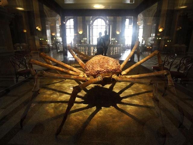A historic mounted giant crab is displayed at the Naturhistorisches Museum Wien (Museum of Natural History) in central Vienna. The museum, which first opened in 1889, consists of 39 exhibition halls with thousands of objects on display. Reuters Photo/Herwig Prammer