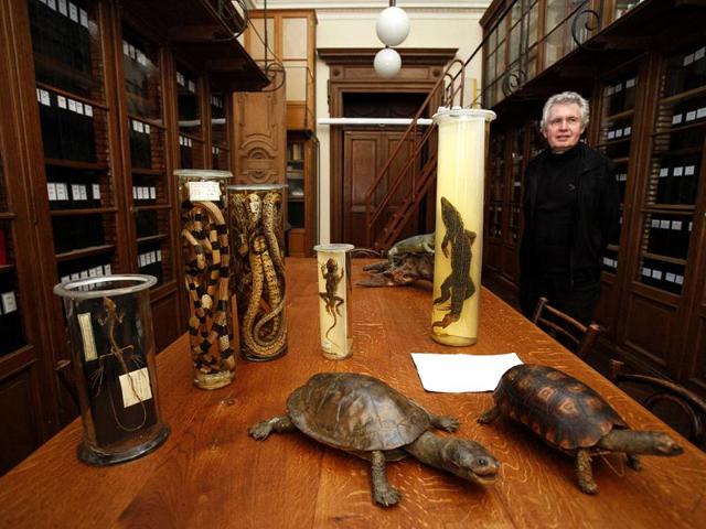 Historic preserved animals and reptiles stand on a table of a laboratory at the Naturhistorisches Museum Wien (Museum of Natural History) in central Vienna. Reuters Photo/Herwig Prammer