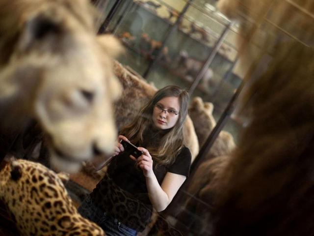 A visitor looks at historic stuffed animal in an exhibition hall of the Naturhistorisches Museum Wien (Museum of Natural History) in central Vienna. Reuters Photo/Herwig Prammer
