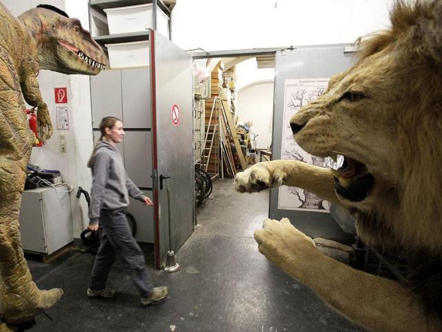 A taxidermist walks through the laboratory of the Naturhistorisches Museum Wien (Museum of Natural History) in central Vienna. Reuters Photo/Herwig Prammer