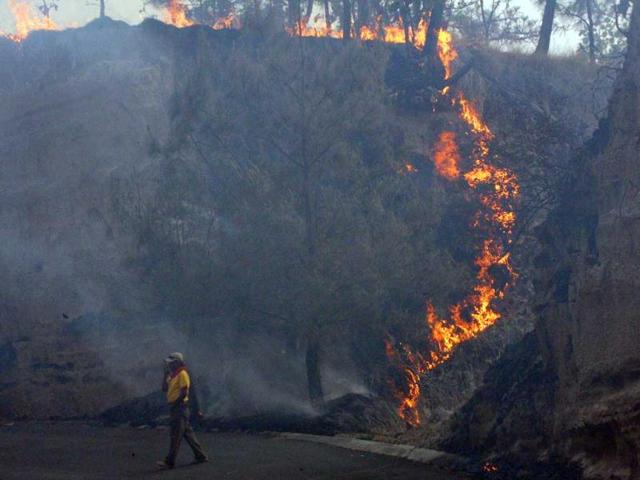 A fireman fights a massive fire raging in "La Primavera" forest in Guadalajara, Mexico. More than 700 firefighters were sent to the site where the fire has been burning uncontrolled for four days now and has consumed over 5000 hectares so far. (AFP Photo)