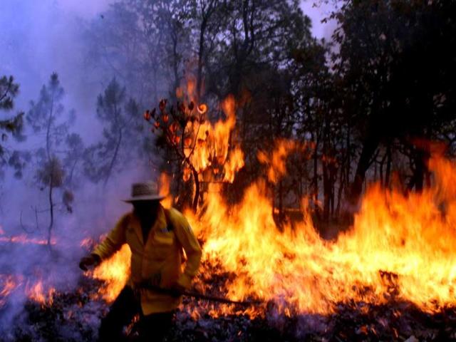 A firefighter runs away from a massive fire raging in "La Primavera" forest in Guadalajara, Mexico. More than 700 firefighters were sent to the site where the fire has been burning uncontrolled for four days now and has consumed over 5000 hectares so far. (AFP Photo)