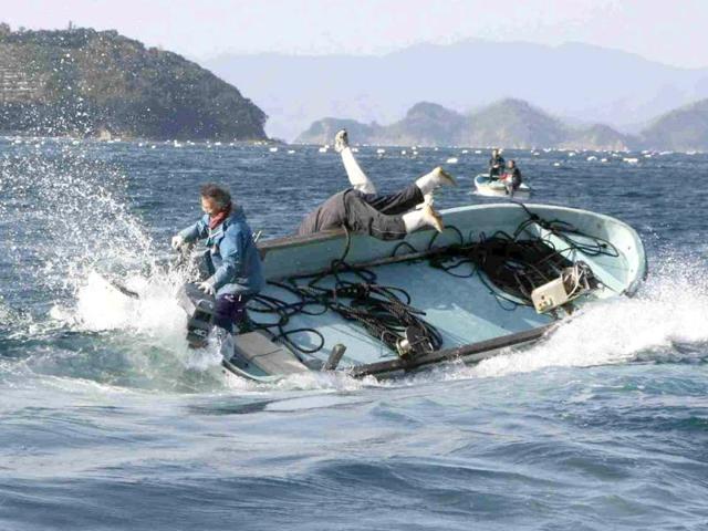 Fishermen are thrown from a small boat as they try to rescue a sperm whale at a bay in Uwajima, about 800 km (500 miles) southwest of Tokyo. Reuters/Masazumi Nakahara
