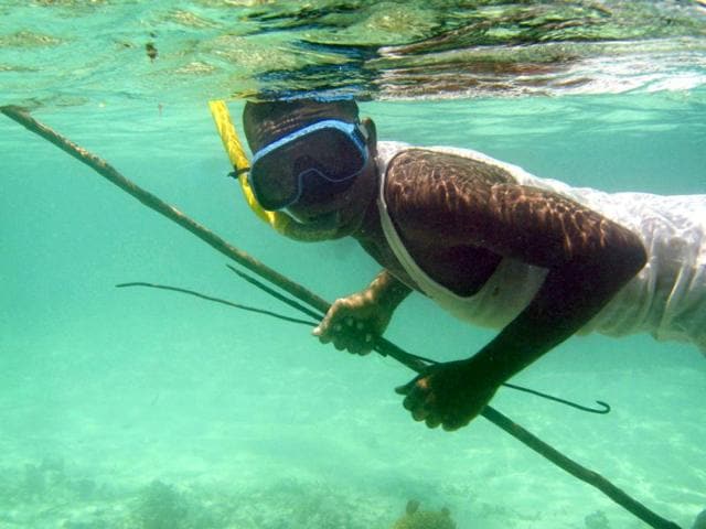 A fisherman hunts for shellfish along a reef off the southeast coast of Zanzibar island, Tanzania. Reuters/Finbarr O'Reilly