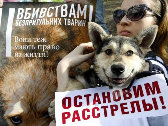 A woman holds a dog during the 'Fair Play For Strays' demonstration to speak out for the rights of stray animals in Kiev. Placards read 'No to murders of street animals, they also have a right to live' and 'Stop executions!'(R). Reuters/Anatolii Stepanov
