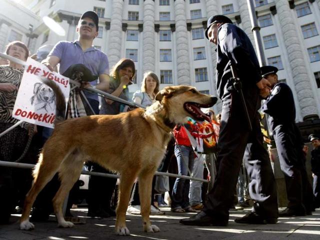 People attend the 'Fair Play For Strays' demonstration to speak out for the rights of stray animals in Kiev. Placard reads 'We will prevent killing for play!' Reuters/Anatolii Stepanov