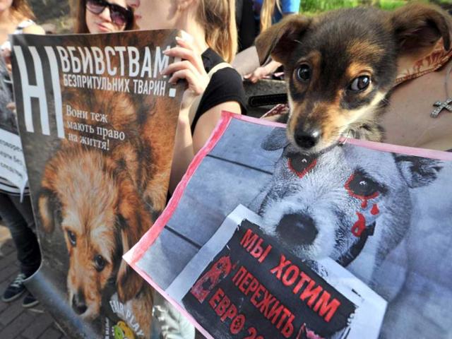 Ukrainian animal-rights activists hold posters, with slogans reading 'We want to outlive Euro 2012', 'Do not kill!' and others, during a rally in front of the cabinet of ministers building in Kiev. AFP/Sergei Supinsky
