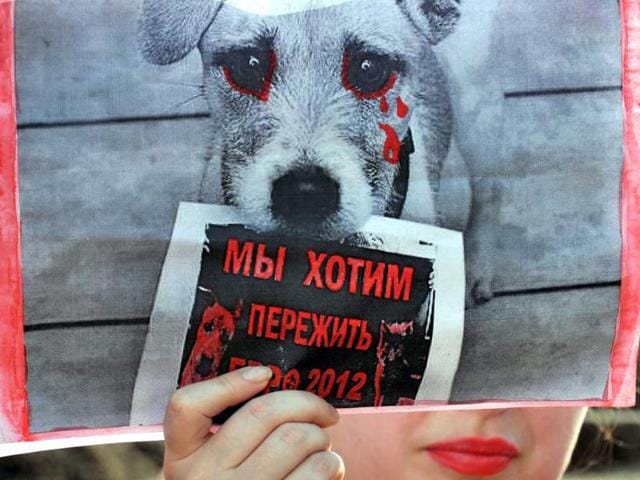 A Ukrainian animal-rights activist holds a poster with the slogan 'We want to outlive Euro 2012' during a rally in front of the cabinet of the ministers building in Kiev. AFP/Sergei Supinsky