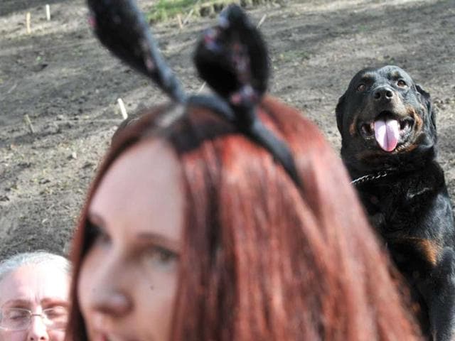 Ukrainian animal-rights activists and their dogs attend a rally in front of the cabinet of the ministers building in Kiev. AFP/Sergei Supinsky