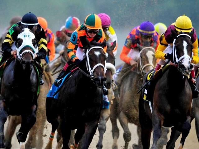 Believe You Can ridden by Rosie Napravnik leads the pack down the back stretch during the 138th running of the Kentucky Oaks at Churchill Downs in Louisville, Kentucky. Jamey Price/Getty Images/AFP