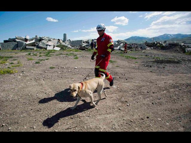 Angel Loya, a member of the Hermosillo Task Force, a K-9 search and rescue unit from Mexico, walks a dog while training with Utah Task Force 1 to search for earthquake victims in a simulated rubble pile in Salt Lake City, Utah. REUTERS/Jim Urquhart