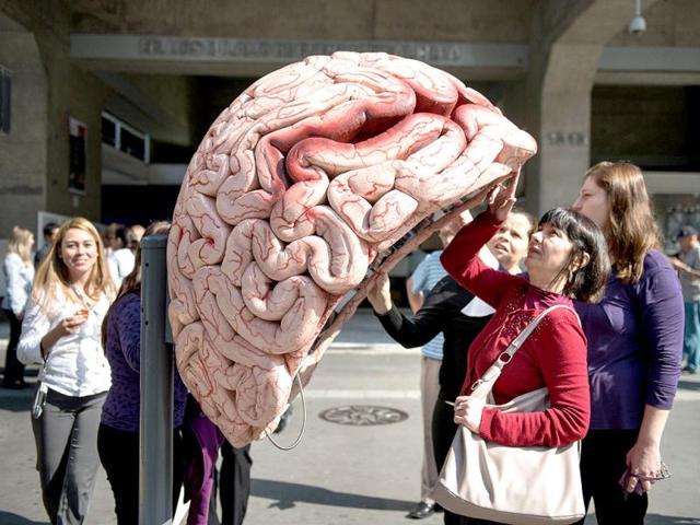 People touch a public phone booth decorated as a brain in Sao Paulo, Brazil. AFP/Yasuyoshi Chiba