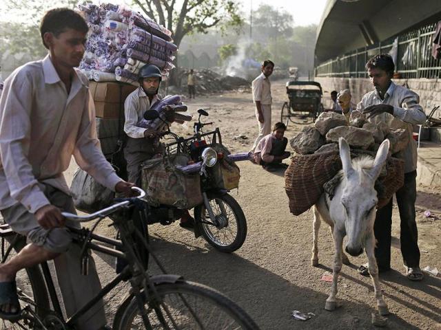 A labourer loads his donkey with stones on a hot morning in New Delhi. AP Photo/Kevin Frayer