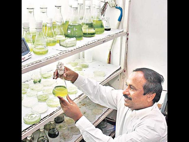 Dr-Dinabandhu-Sahoo-in-his-lab-at-the-department-of-botany-in-DU-Dr-Sahoo-claims-he-can-drive-the-car-with-algae-and-save-environment-and-petrol-HT-Sushil-Kumar