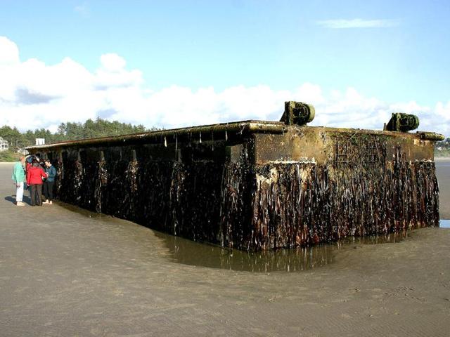 This handout photograph obtained courtesy of the Oregon Parks and Recreation (OPRD) shows residents standing beside a huge floating dock in Agate Beach, Oregon. Cast adrift by Japan's killer tsunami, the dock washed up on the Oregon beach 15 months later, washed in with the high tide. AFP Photo