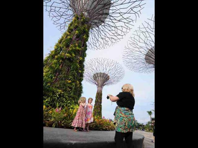 A visitor is seen taking a picture of her two kids under the towering supertrees at the Garden by the Bay in Singapore. AFP/Roslan Rahman