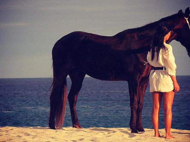 Kim Kardashian tweeted a pic with horse.