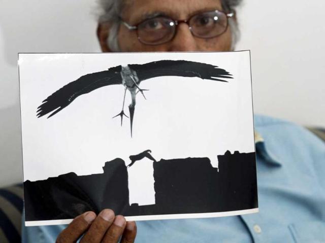 One more masterpiece clicked by S Paul. (Jasjeet Plaha/HT photos)