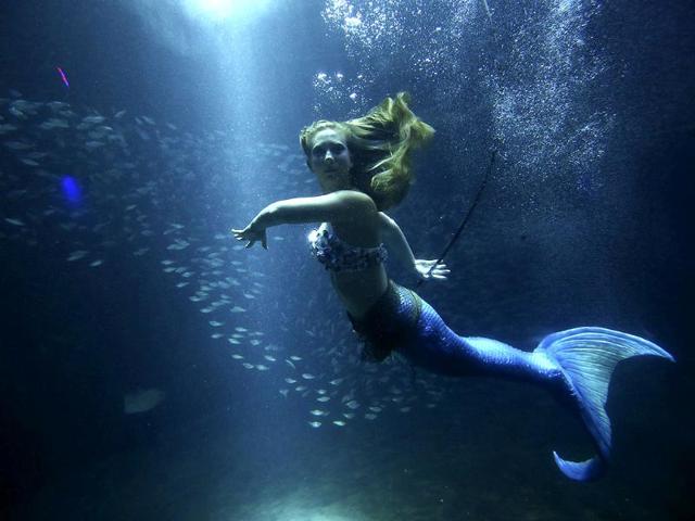 A woman dressed as a mermaid swims in a tank during 'Spirits of Tampa' event, which was held for participants of the Republican National Convention, at The Florida Aquarium in Tampa, Florida. Reuters/Eric Thayer