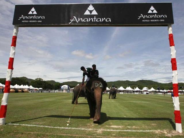A player from the Audemars Piguet Team hits a ball into goal during the opening match of the 11th King's Cup Elephant Polo Tournament in the resort town of Hua-Hin. Reuters photo/Sukree Sukplang