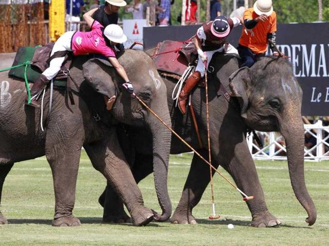 A player from the Nellies Team (L) challenges a player from the Rueng Chang Team during the opening match of the 11th King's Cup Elephant Polo Tournament in the resort town of Hua-Hin. Reuters photo/Sukree Sukplang