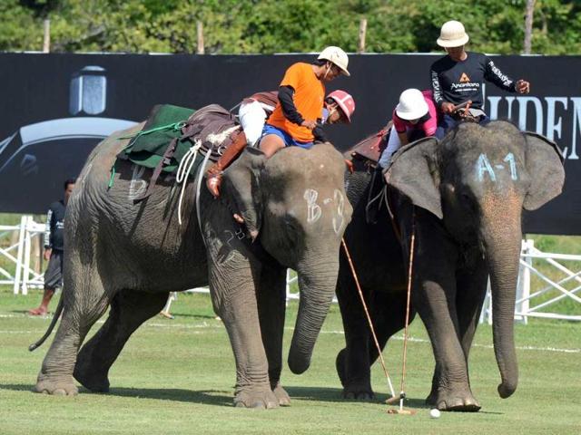 A polo player from the Elephant Story team (brown) fights for the ball with a member of the Nellies team (pink) during the annual King's Cup Elephant Polo Tournament in the southern Thai resort town of Hua Hin. AFP Photo/Pornchai Kittiwongsakul