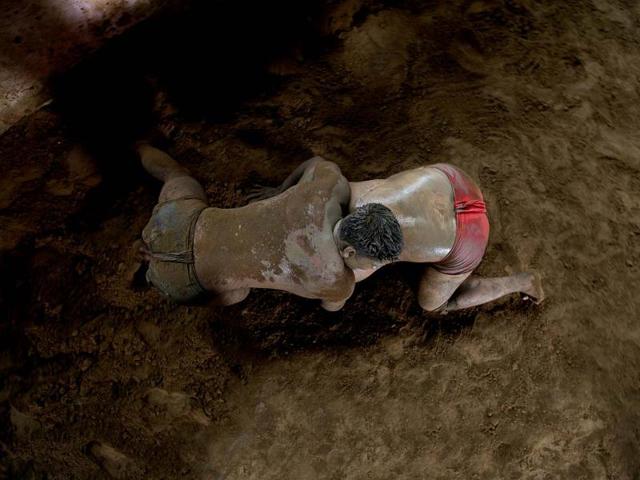 Article image Article image